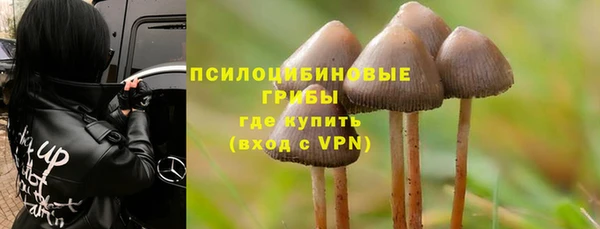 прущая мука Белокуриха