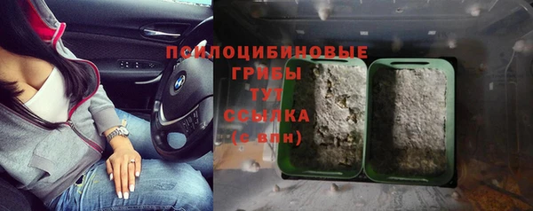 прущая мука Белокуриха
